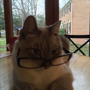 Meet your Posher, Kathryn